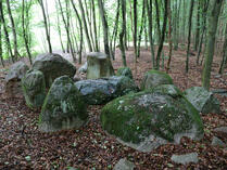 Großsteingräber Mankmoos