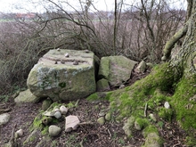 Großsteingrab Feldhusen