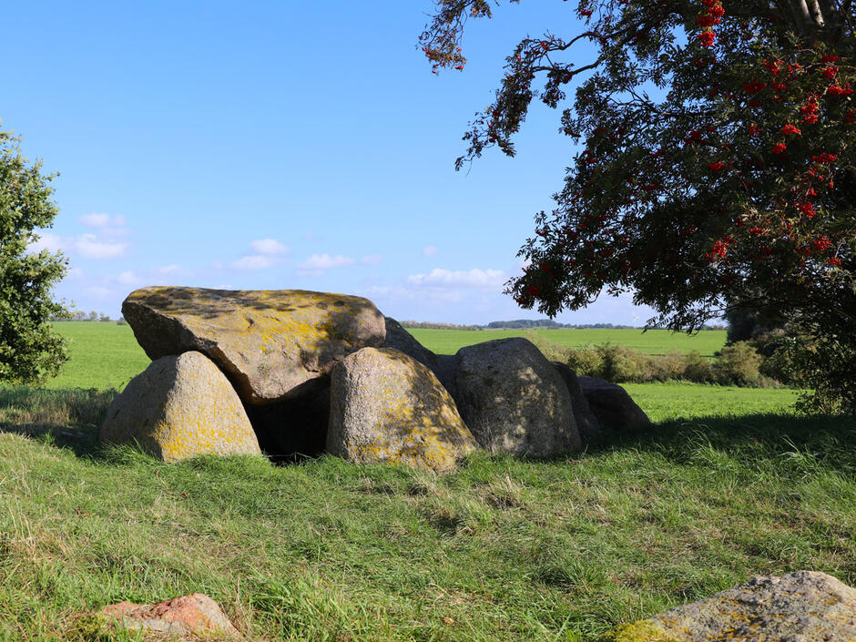 Großsteingräber Mechelsdorf