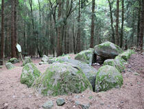 Steinzeitliches Großsteingrab Everstorfer Forst