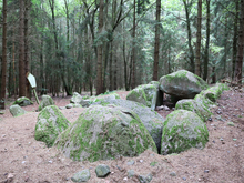 Steinzeitliches Großsteingrab Everstorfer Forst