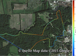 Ludwigsluster Schlossgartenlauf