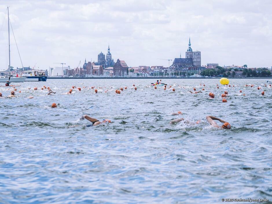 Sporttermine Schwimmevents