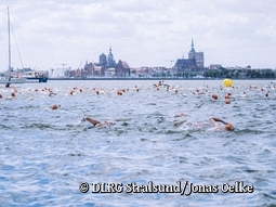 Internationales Sundschwimmen