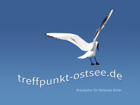 Segelboot