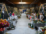 Hallen-Weihnachtsmarkt „Kerzenschein“ in Kühlungsborn
