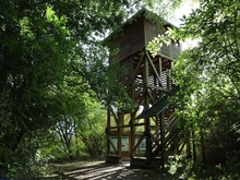 Aussichtsturm Moorochse