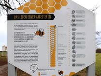 Hollis Bienenlehrpfad im Land Fleesensee