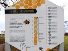 Hollis Bienenlehrpfad im Land Fleesensee