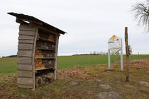 Bienenlehrpfad Fleesensee - Der Bienenlehrpfad