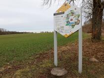 Bienenlehrpfad Fleesensee - bienenfreundlich