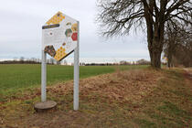 Bienenlehrpfad Fleesensee - Der Bienenstaat