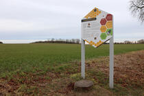 Bienenlehrpfad Fleesensee - Die Geheimsprache der Bienen