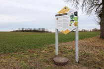 Bienenlehrpfad Fleesensee - Die Gefahren für die Honigbiene