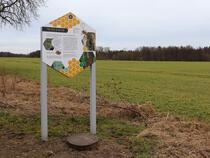 Bienenlehrpfad Fleesensee - Das Bienenvolk