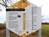 Ausflugsziel: Bienenlehrpfad Göhren-Lebbin