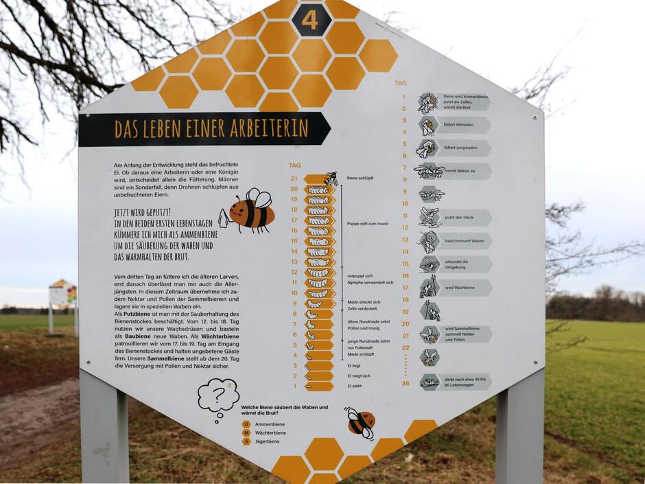 Ausflugsziel: Bienenlehrpfad Göhren-Lebbin