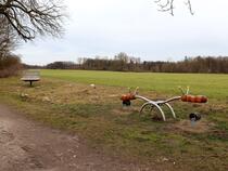 Bienenlehrpfad Fleesensee - Spielgerät