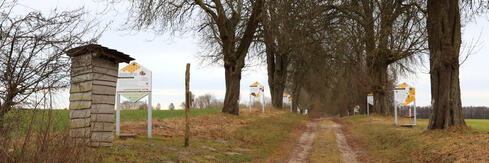 Bienenlehrpfad Fleesensee