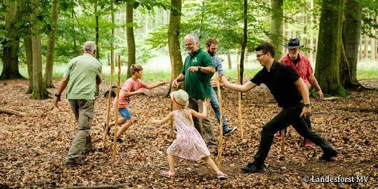 Waldpädagogische Angebote im Ivenacker Forst