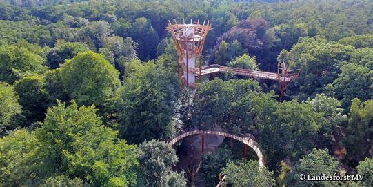 Ivenacker Baumkronenpfad