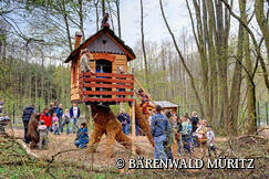 BÄRENWALD MÜRITZ in Stuer - Abenteuerspielplatz