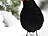 Amsel, männlich ♂