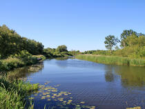 Recknitz Ribnitz-Damgarten