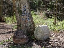 Wegweiser »Großer Stein« Ahrenshagen-Daskow