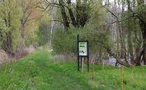 Landschaftskundlicher Lehrpfad Tribohmer Bachtal – Station 2 (Frühling)