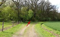 Landschaftskundlicher Lehrpfad Tribohmer Bachtal – Weg in den Wald (Frühling)
