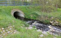 Landschaftskundlicher Lehrpfad Tribohmer Bachtal – Tribohmer Bach (Frühling)