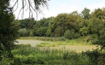 Landschaftskundlicher Lehrpfad Tribohmer Bachtal – Emilsee (Herbst)