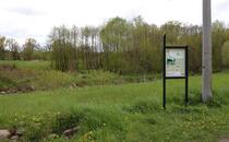 Landschaftskundlicher Lehrpfad Tribohmer Bachtal – Station 13 (Frühling)