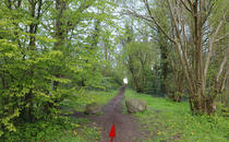Landschaftskundlicher Lehrpfad Tribohmer Bachtal – Wegführung (Frühling)