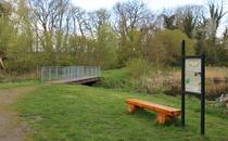 Landschaftskundlicher Lehrpfad Tribohmer Bachtal – Station 8 (Frühling)