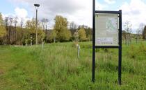 Landschaftskundlicher Lehrpfad Tribohmer Bachtal – Station 1 (Frühling)
