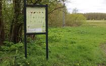 Landschaftskundlicher Lehrpfad Tribohmer Bachtal – Station 14 (Frühling)