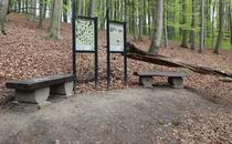 Landschaftskundlicher Lehrpfad Tribohmer Bachtal - Station 4 und 5 (Frühling)