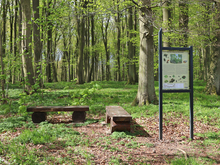 Landschaftskundlicher Lehrpfad Tribohmer Bachtal