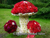 Dahlienschau, Dahlienfest Bad Sülze