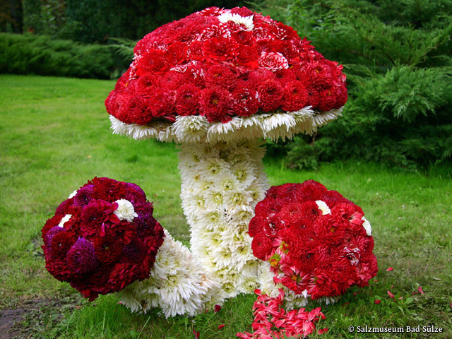 Dahlienfest in Bad Sülze - Dahliengesteck Pilze