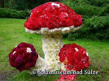 Dahlienschau, Dahlienfest Bad Sülze