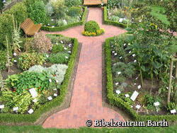  Niederdeutsches Bibelzentrum - Bibelgarten