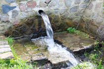 Alkunquelle zu Barth - Quelle