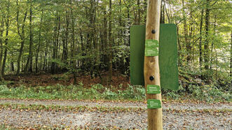 Interaktiver Lehrpfad - Erlebnispfad Trebeltal - Größenvergleich Flügelspannen