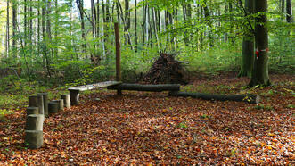 Interaktiver Lehrpfad - Erlebnispfad Trebeltal - Sitzmöglichkeiten