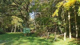 Interaktiver Lehrpfad - Erlebnispfad Trebeltal - Station 1 "Grünes Klassenzimmer"