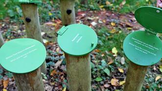 Interaktiver Lehrpfad - Erlebnispfad Trebeltal - Wissensspiel