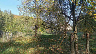 Interaktiver Lehrpfad - Erlebnispfad Trebeltal - Streuobstwiese